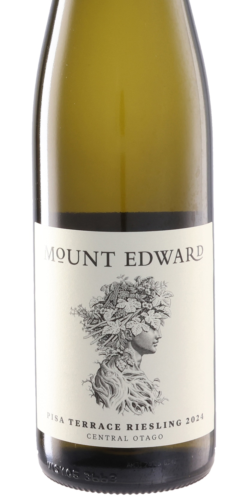 ピサ・テラス リースリング 2024