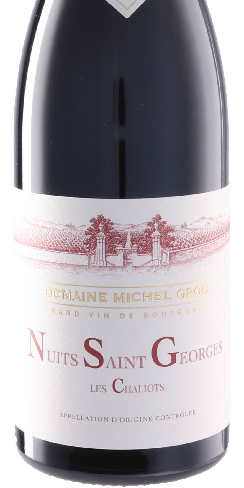 ニュイ・サン・ジョルジュ レ・シャリオ 2023