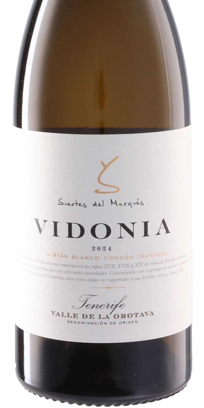 ヴィドニア 2024