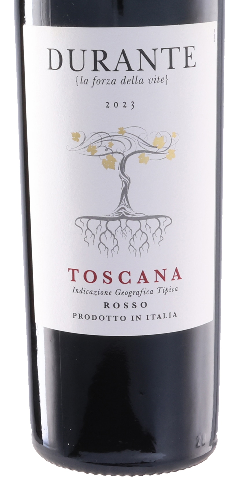 デュランテ 2023