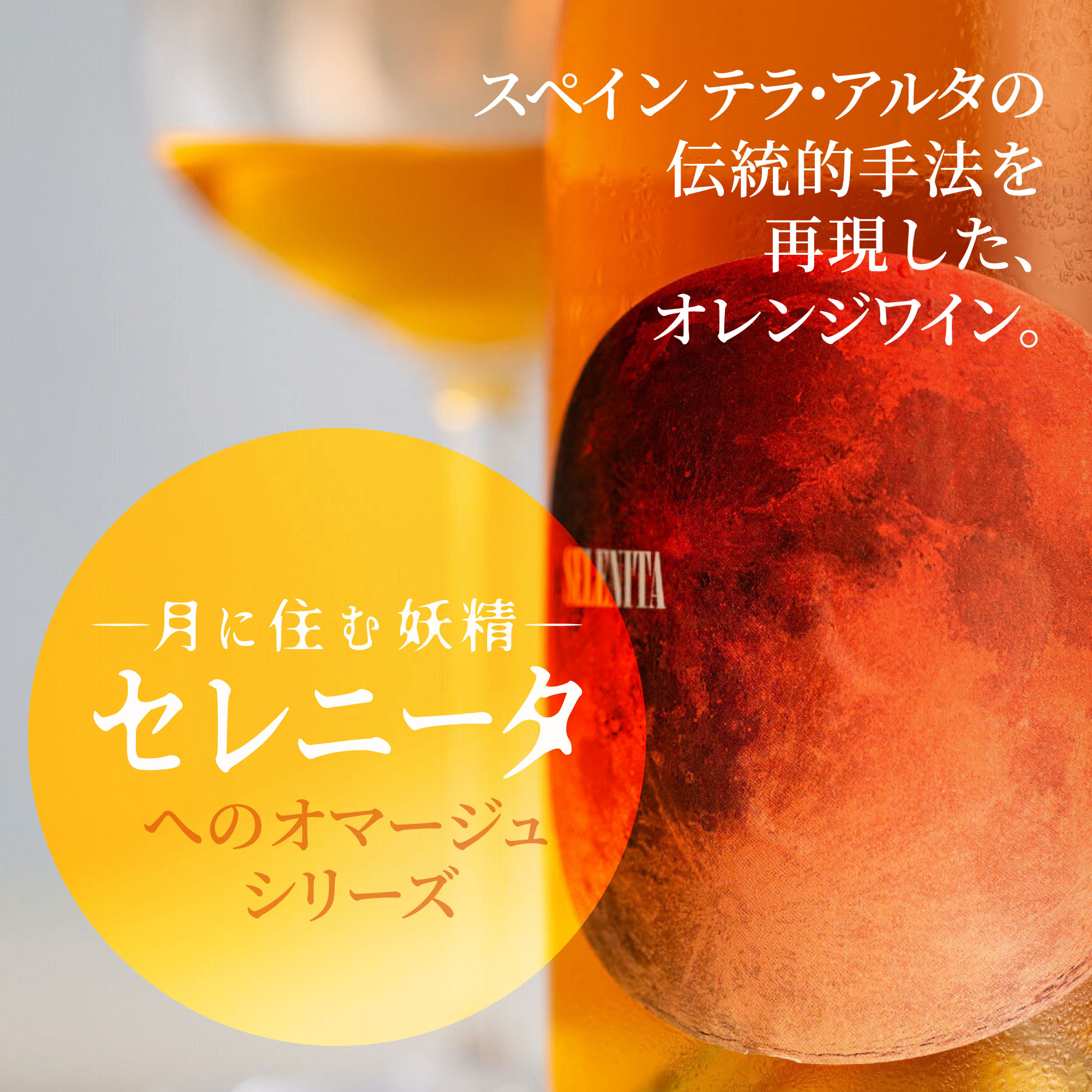 セレニータ マカベオ ブリザート 2024