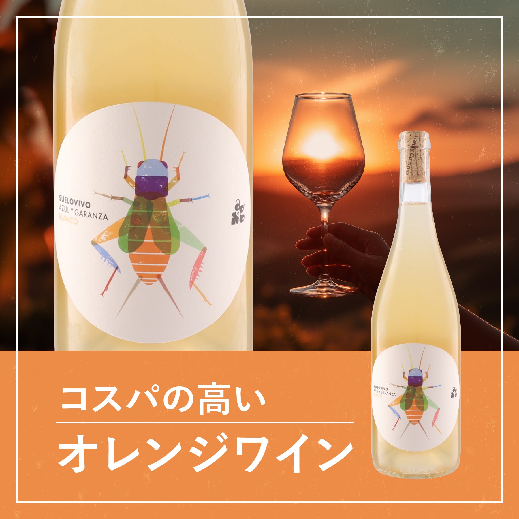 スエロ・ヴィヴォ ブランコ 2024