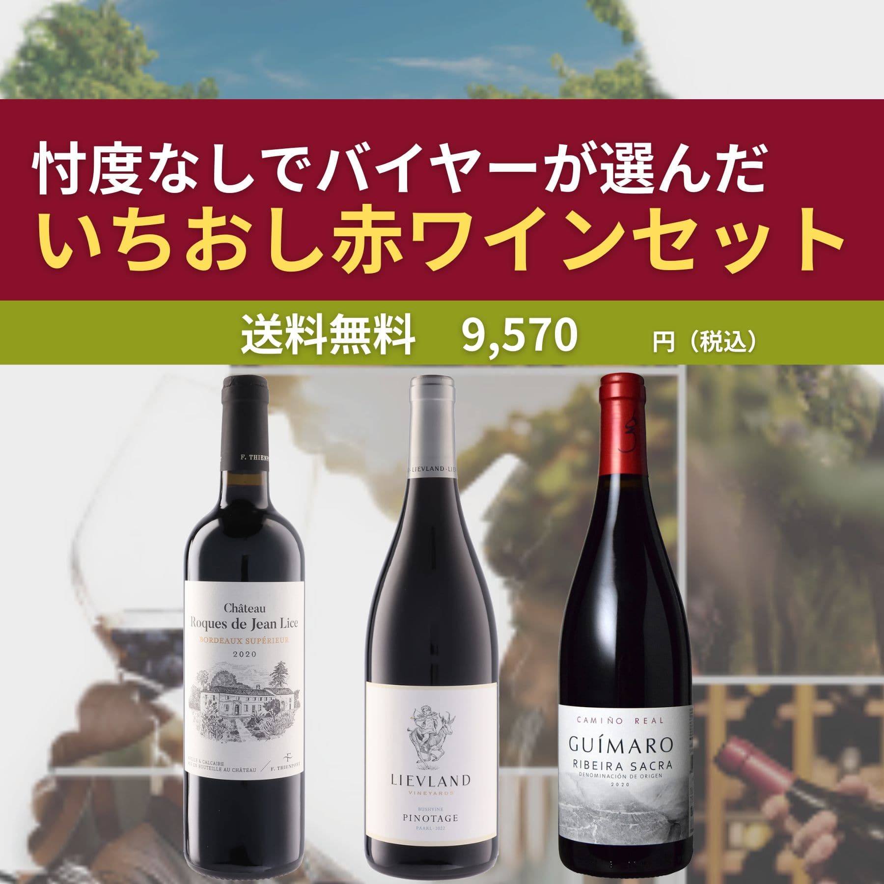 忖度無しおすすめ赤ワイン3本セット