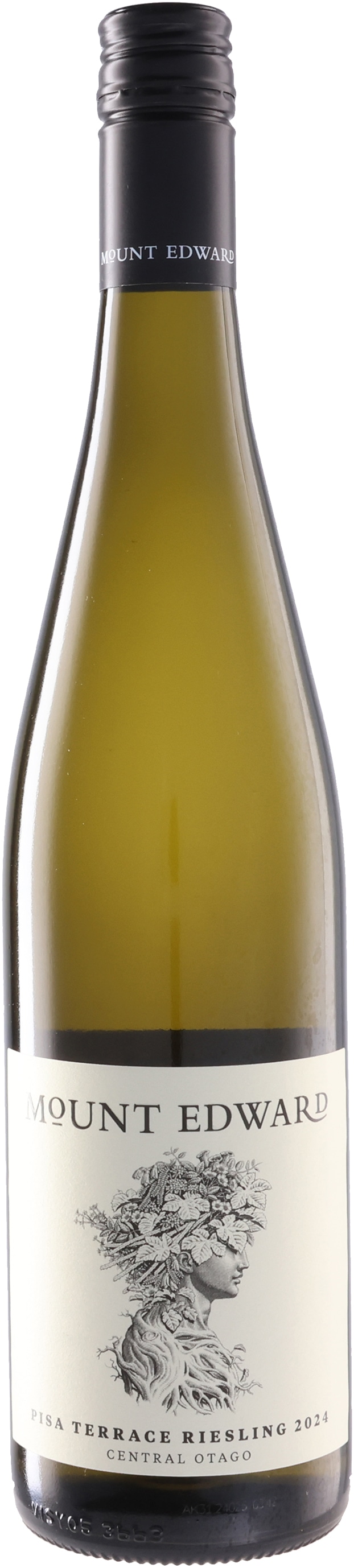 ピサ・テラス リースリング 2024