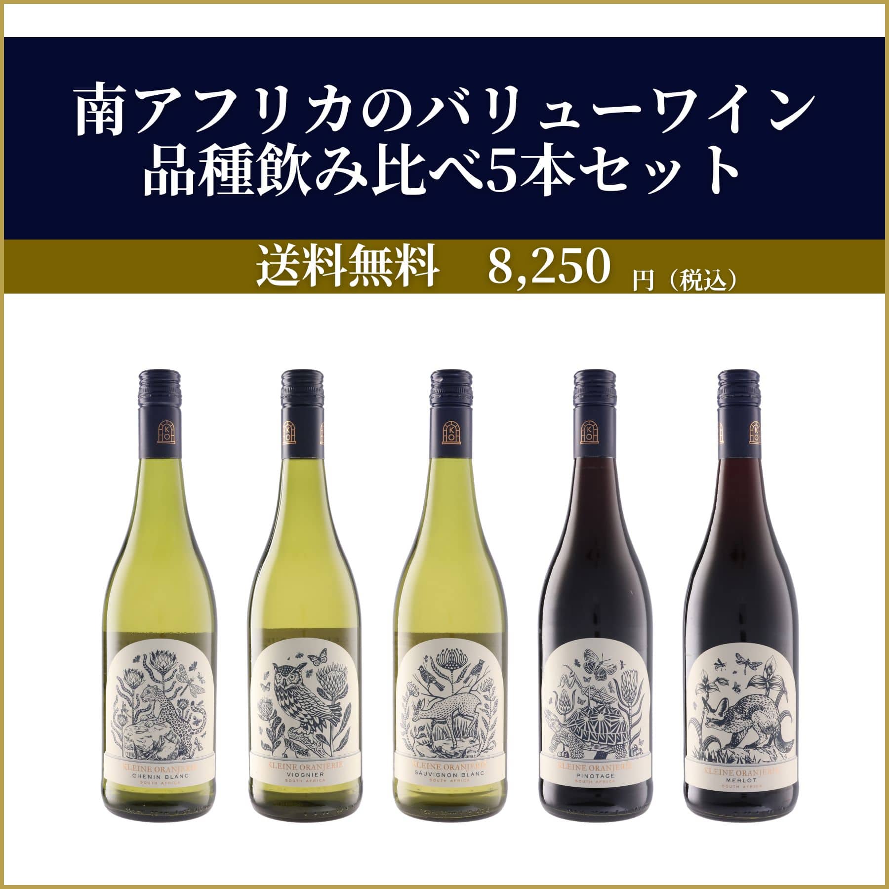 南アフリカのバリューワイン 品種飲み比べ5本セット