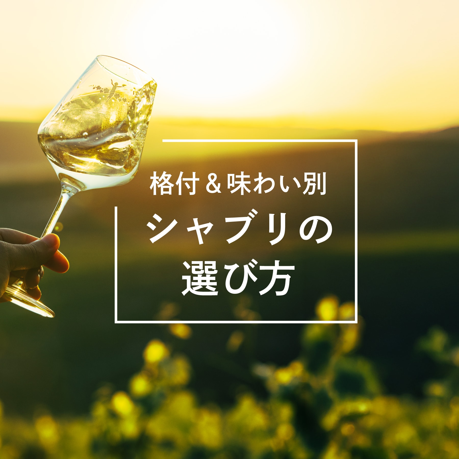 シャブリの選び方＜格付＆味わい別＞