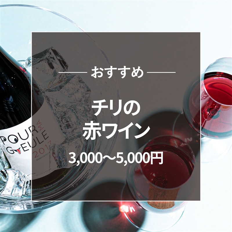 おすすめ チリ赤ワイン3000～5000円