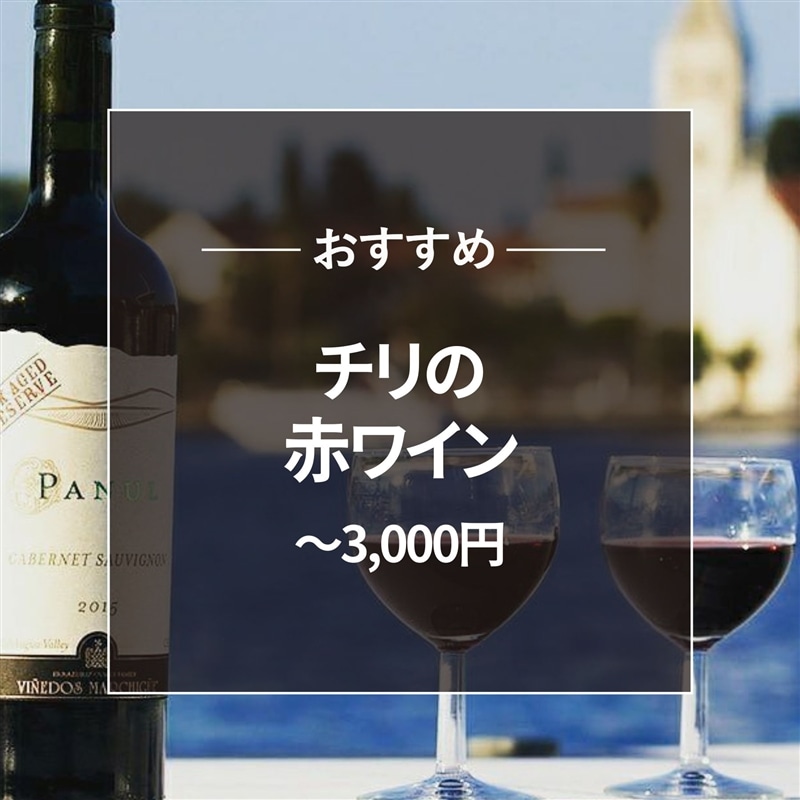 おすすめ チリ赤ワイン～3000円