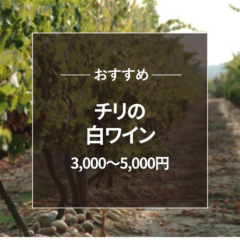 おすすめ チリ白ワイン3000～5000円