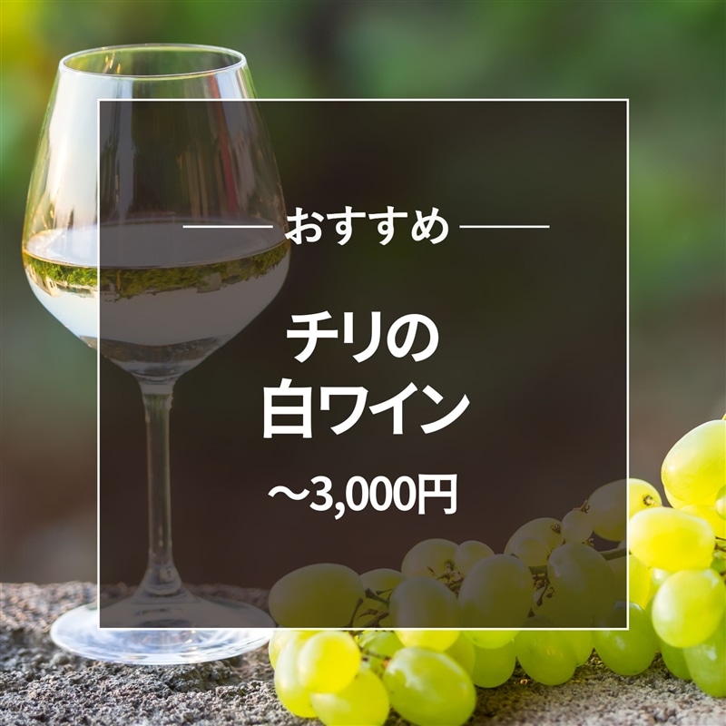 おすすめ チリ白ワイン～3000円