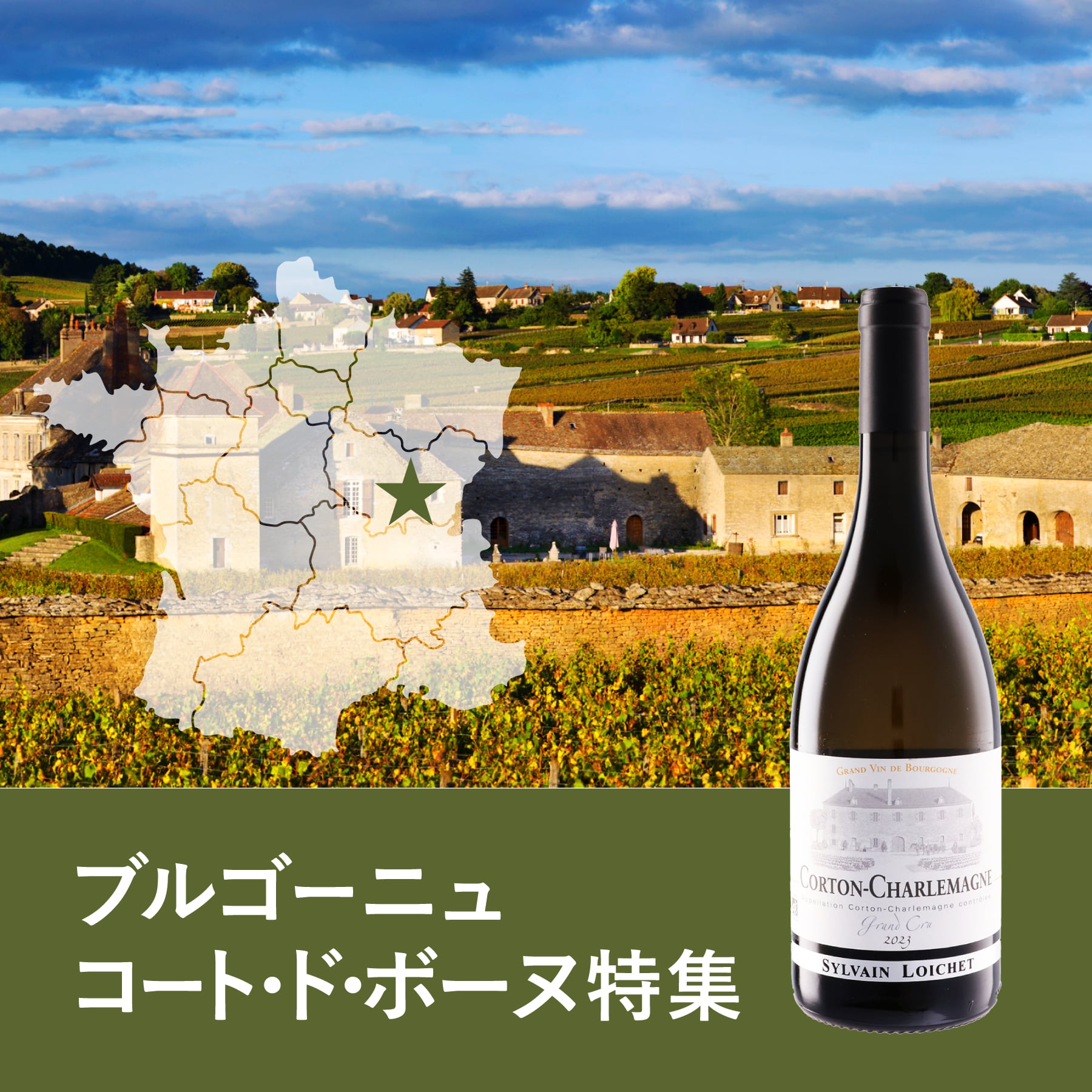 ブルゴーニュ コート・ド・ボーヌ地区特集