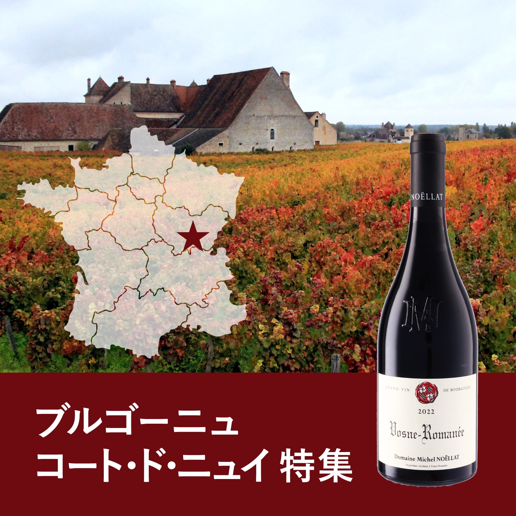 ブルゴーニュ コート・ド・ニュイ地区特集