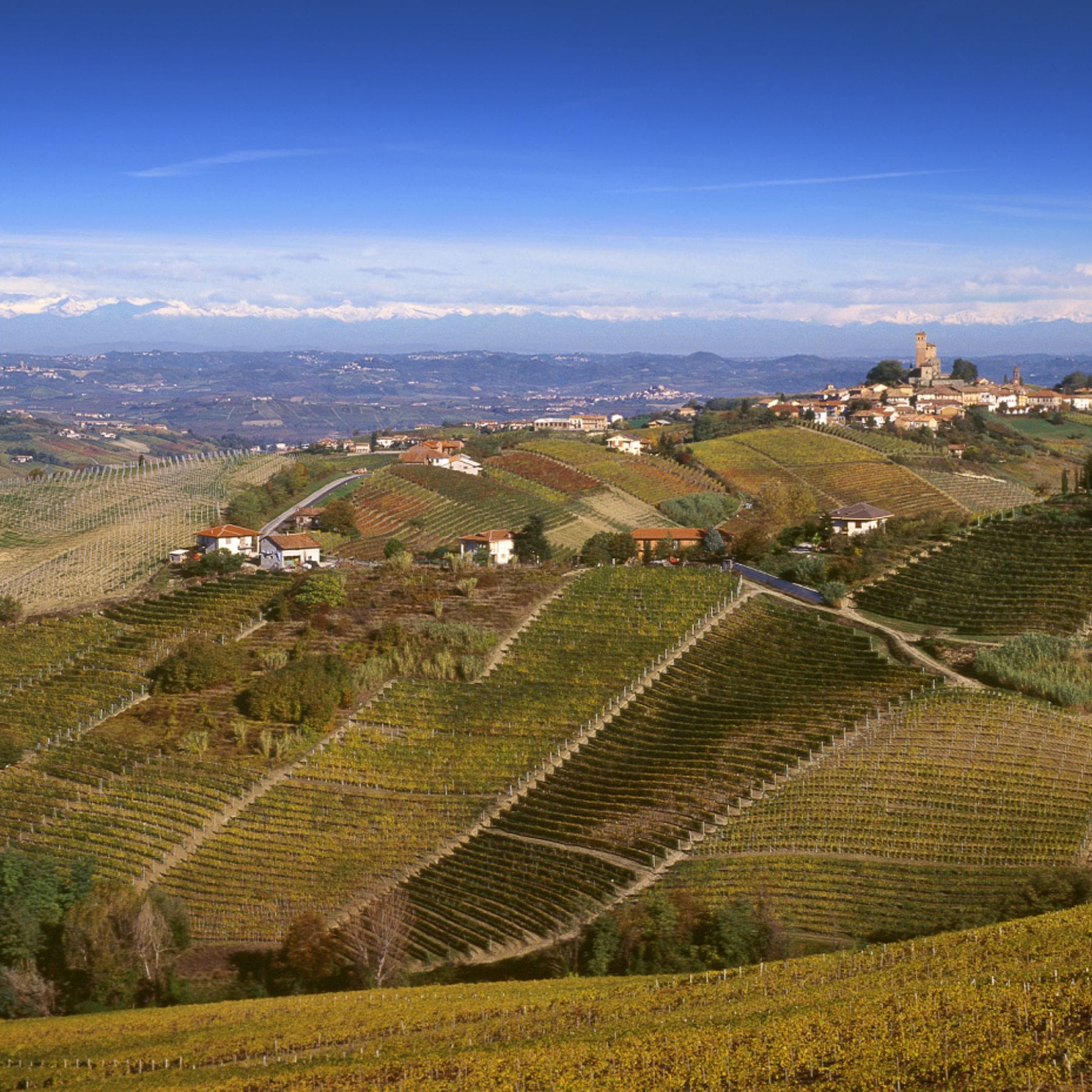 本間チョースケのイタリアワイントリビア vo.2 |  バローロの生産地域について