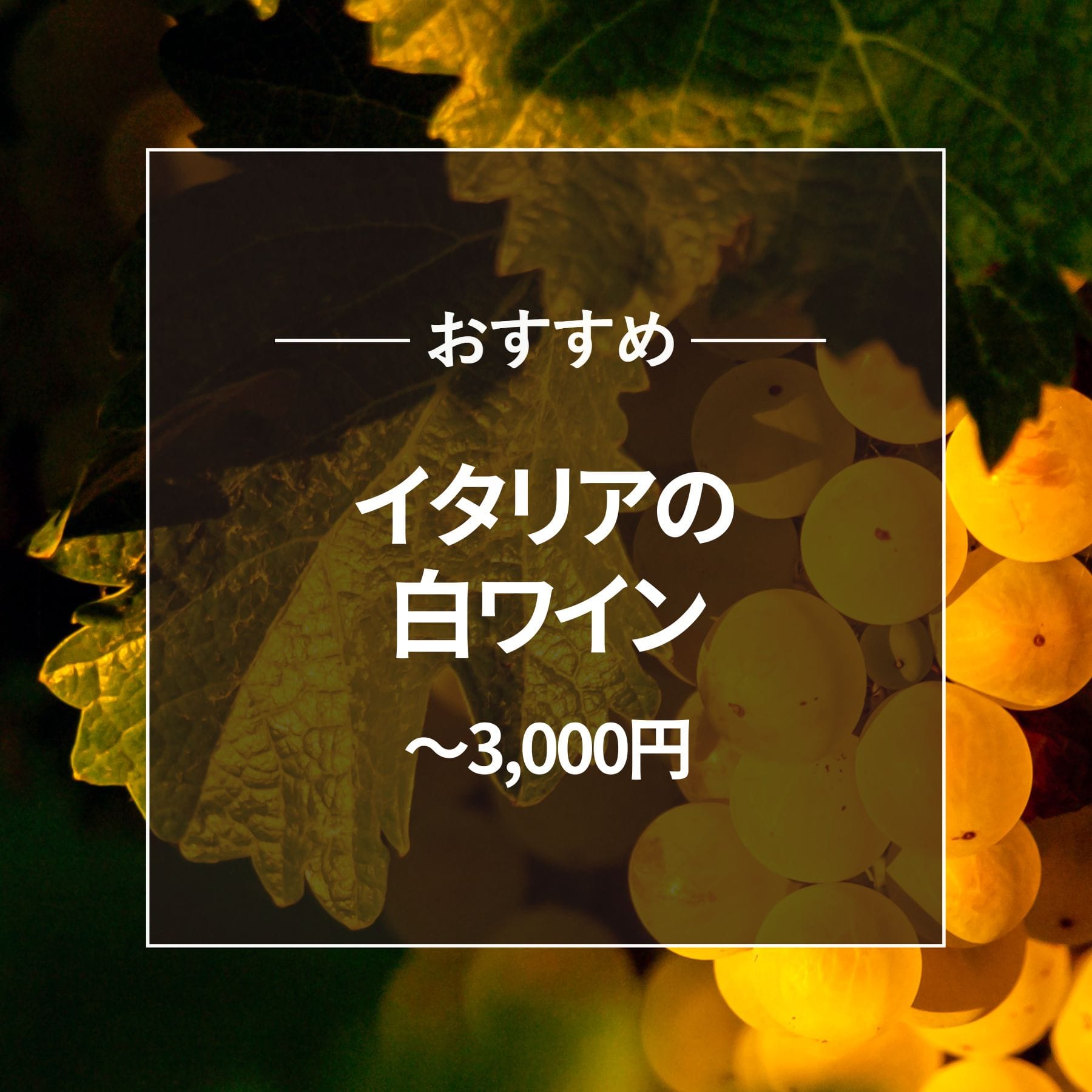 おすすめ イタリアの白ワイン 3000円以下