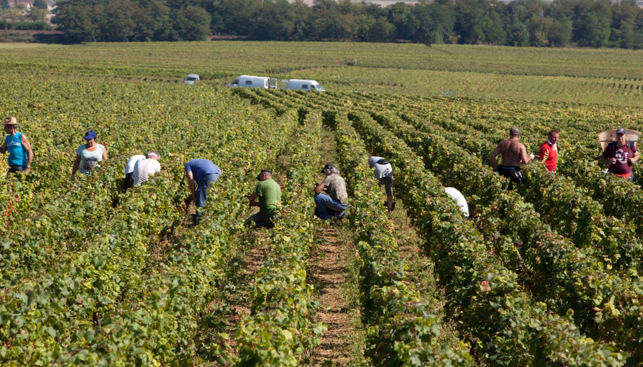 ミシェル・ノエラ