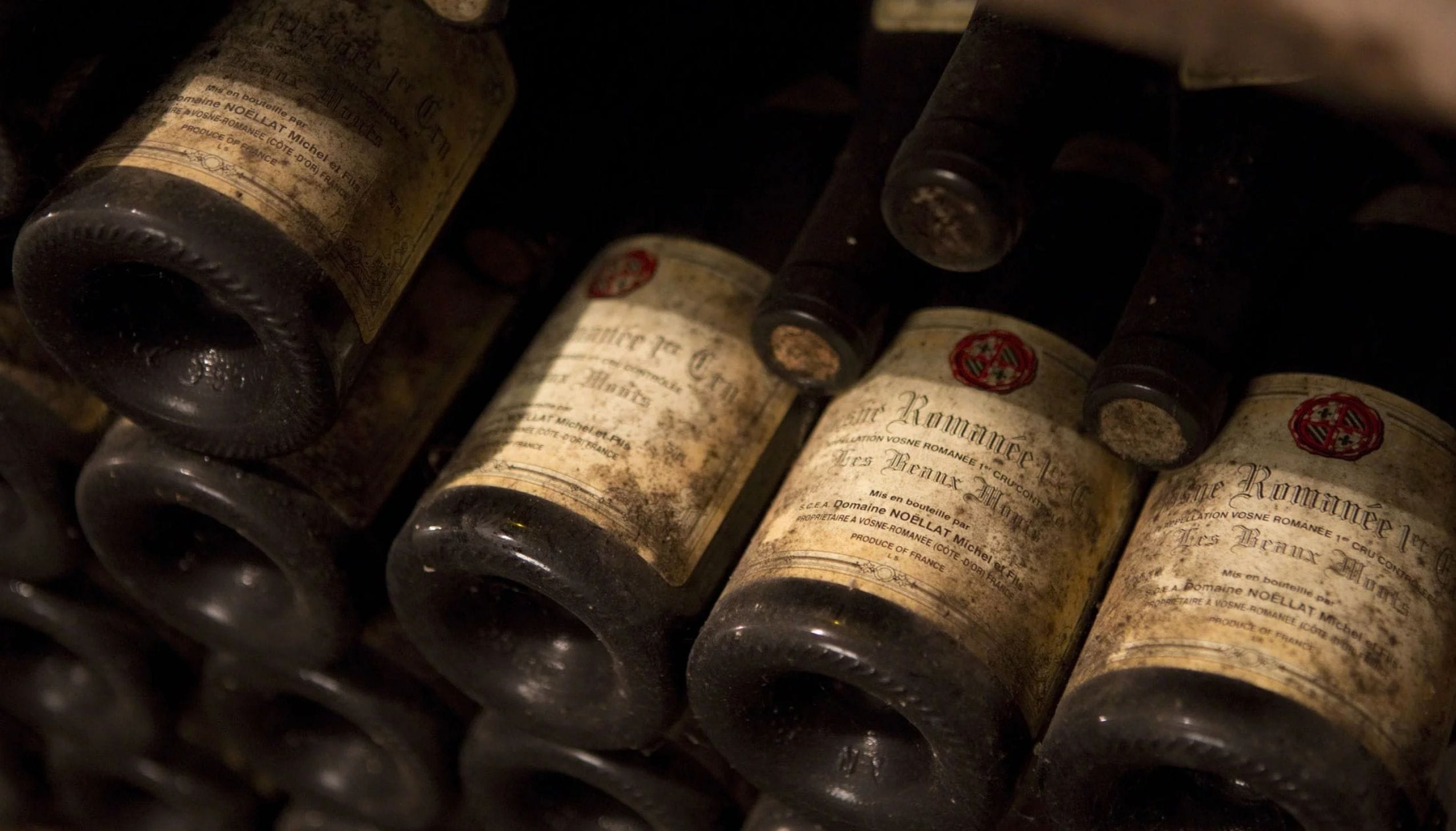 ミシェル・ノエラ