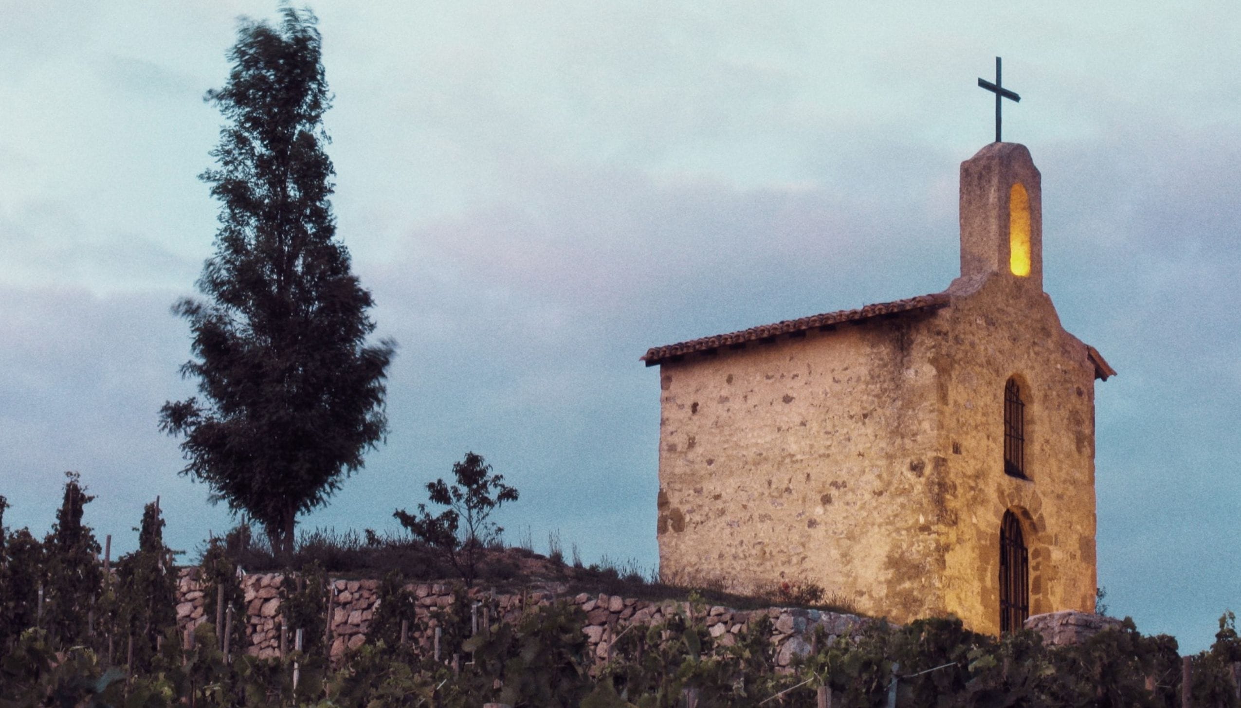 ポール・ジャヴレ・エネ