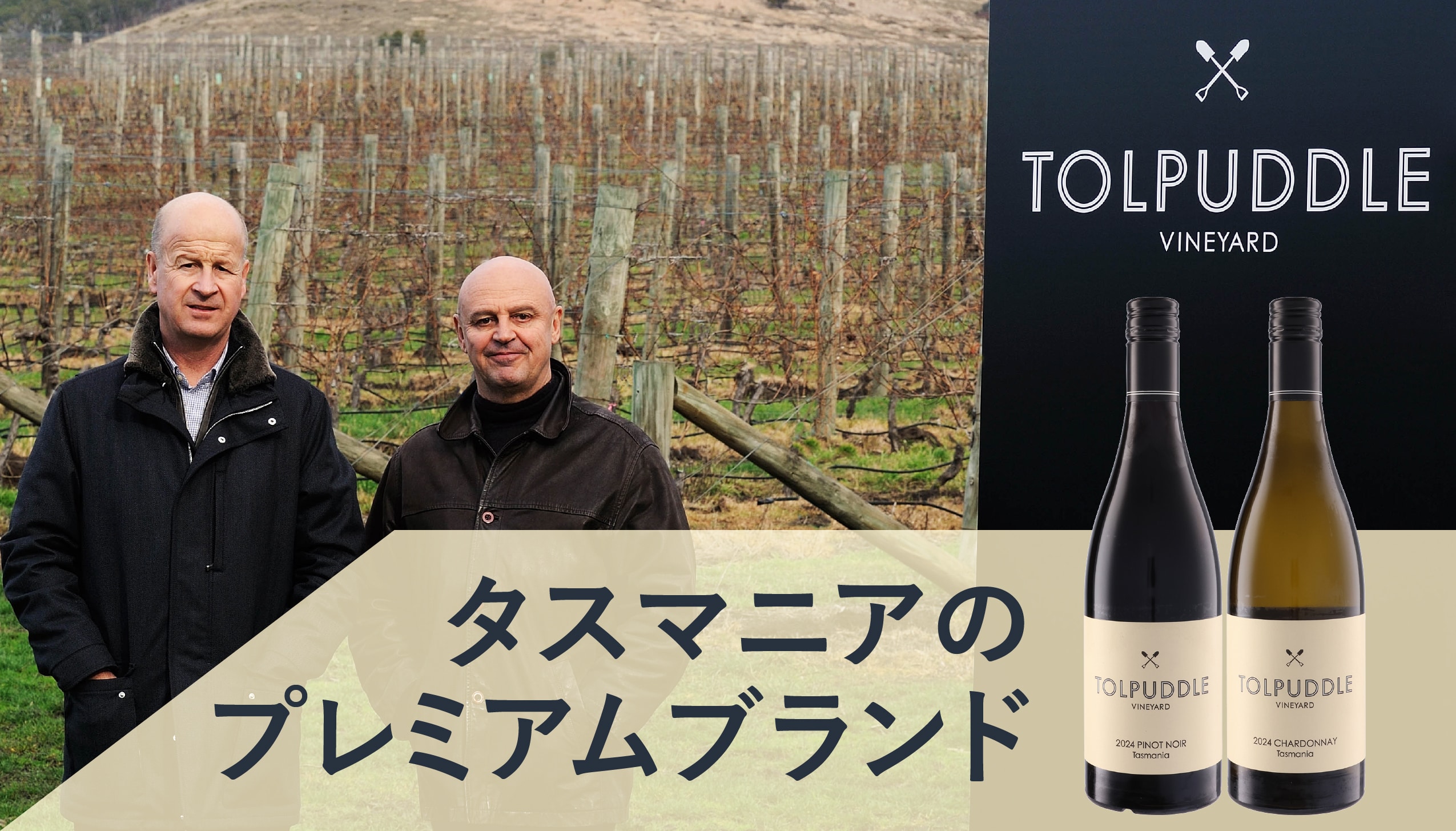 トルパドル・ヴィンヤード