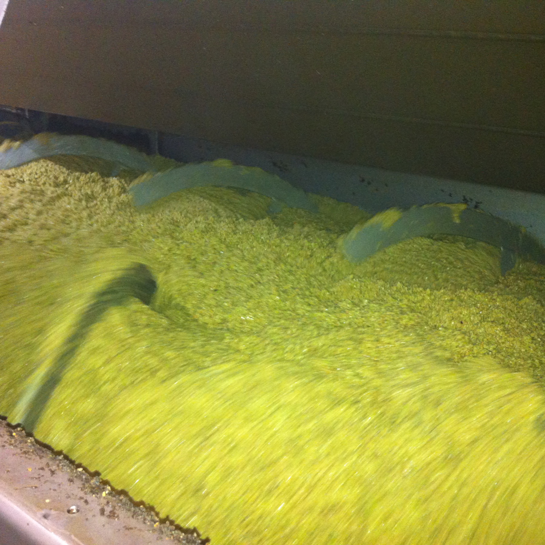 ソル・デル・リマリ エクストラヴァージンオリーブオイル精油