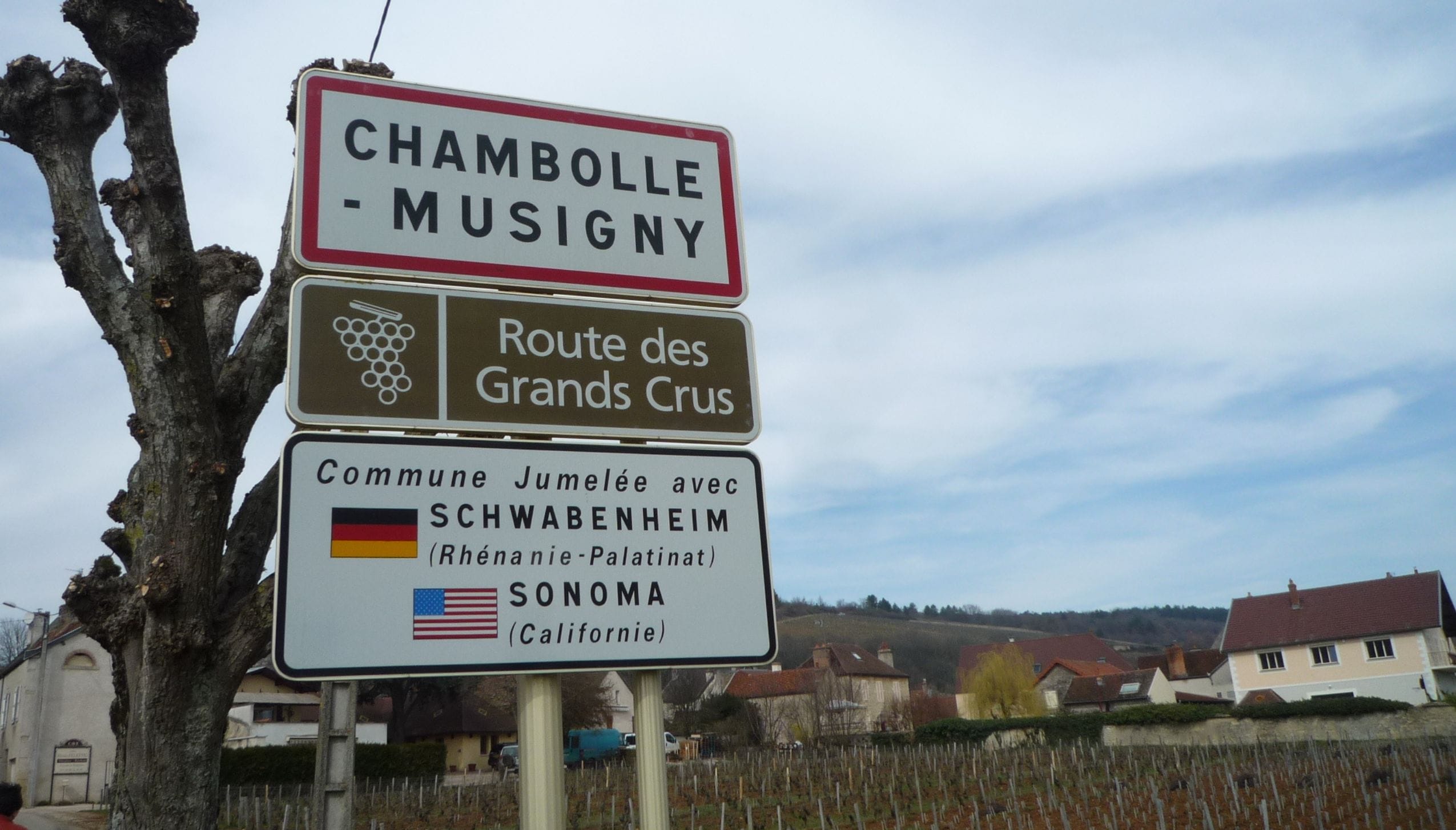 シャンボル・ミュジニー