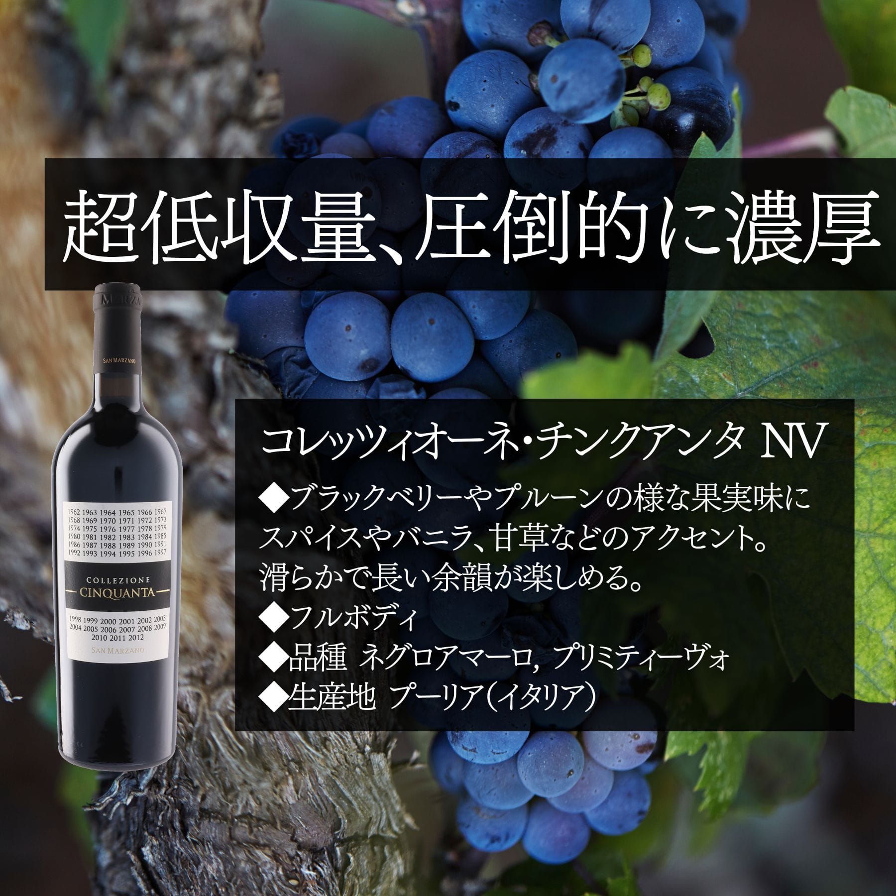 コレッツィオーネ・チンクアンタ