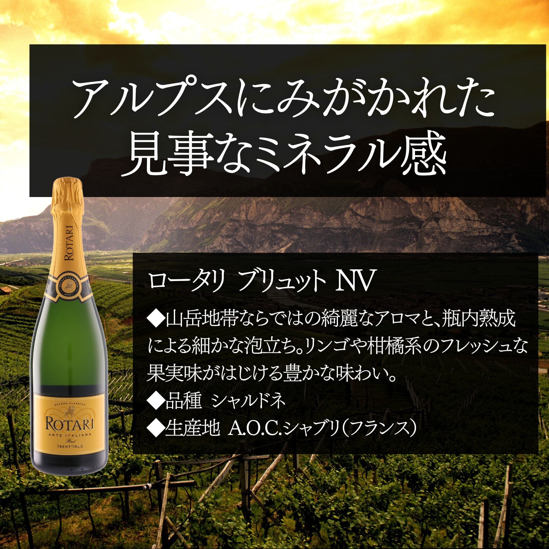 ロータリ ブリュット