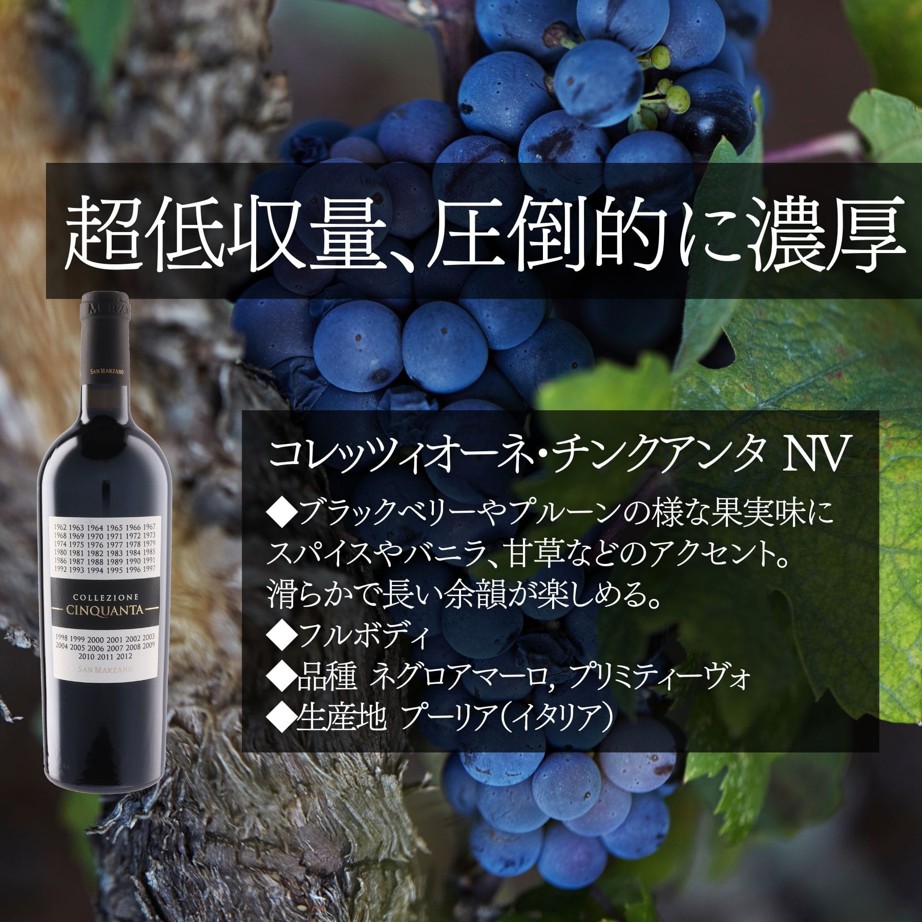 ベストセラーセット