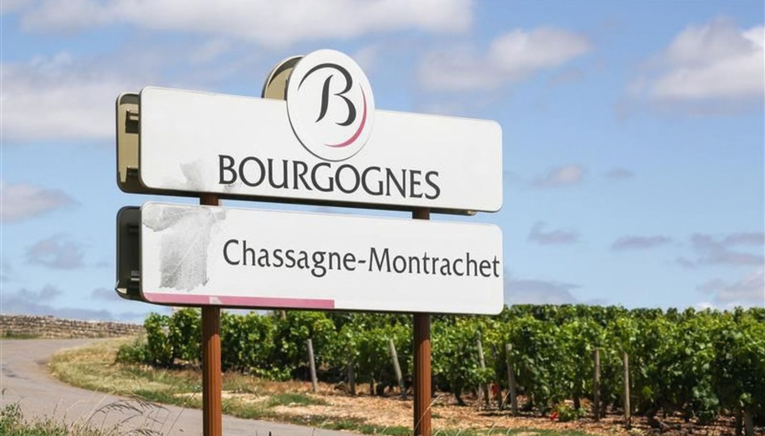 シャサーニュ・モンラッシェ