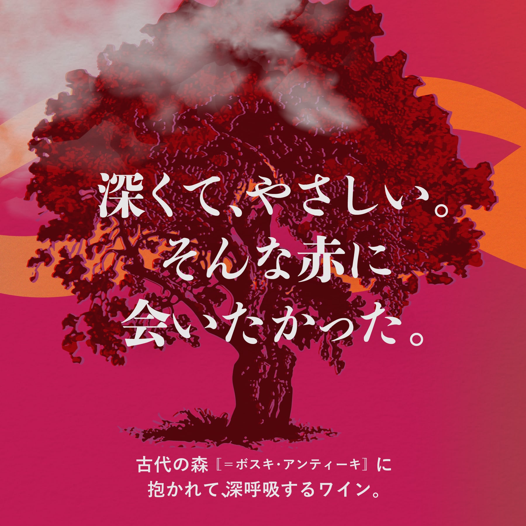 ボスキ・アンティーキ
