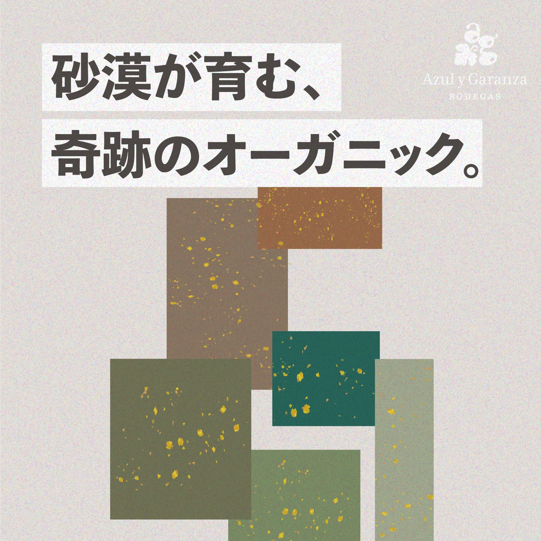 セイス