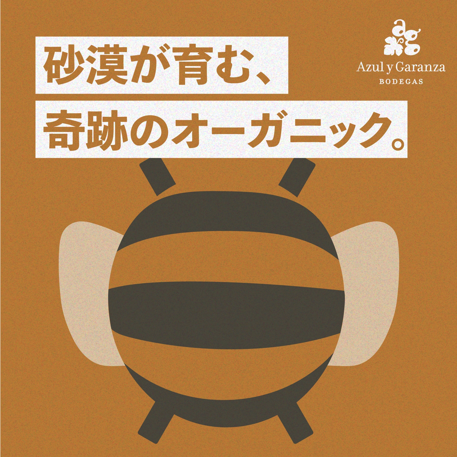 ヴィティス