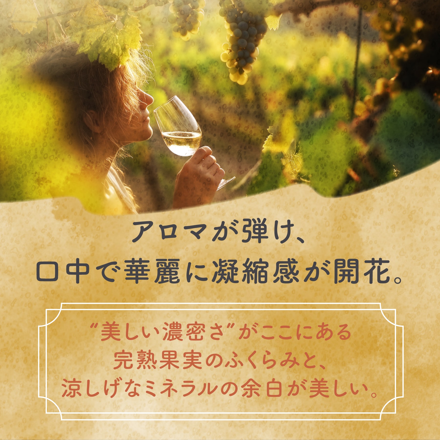 ゴマリス