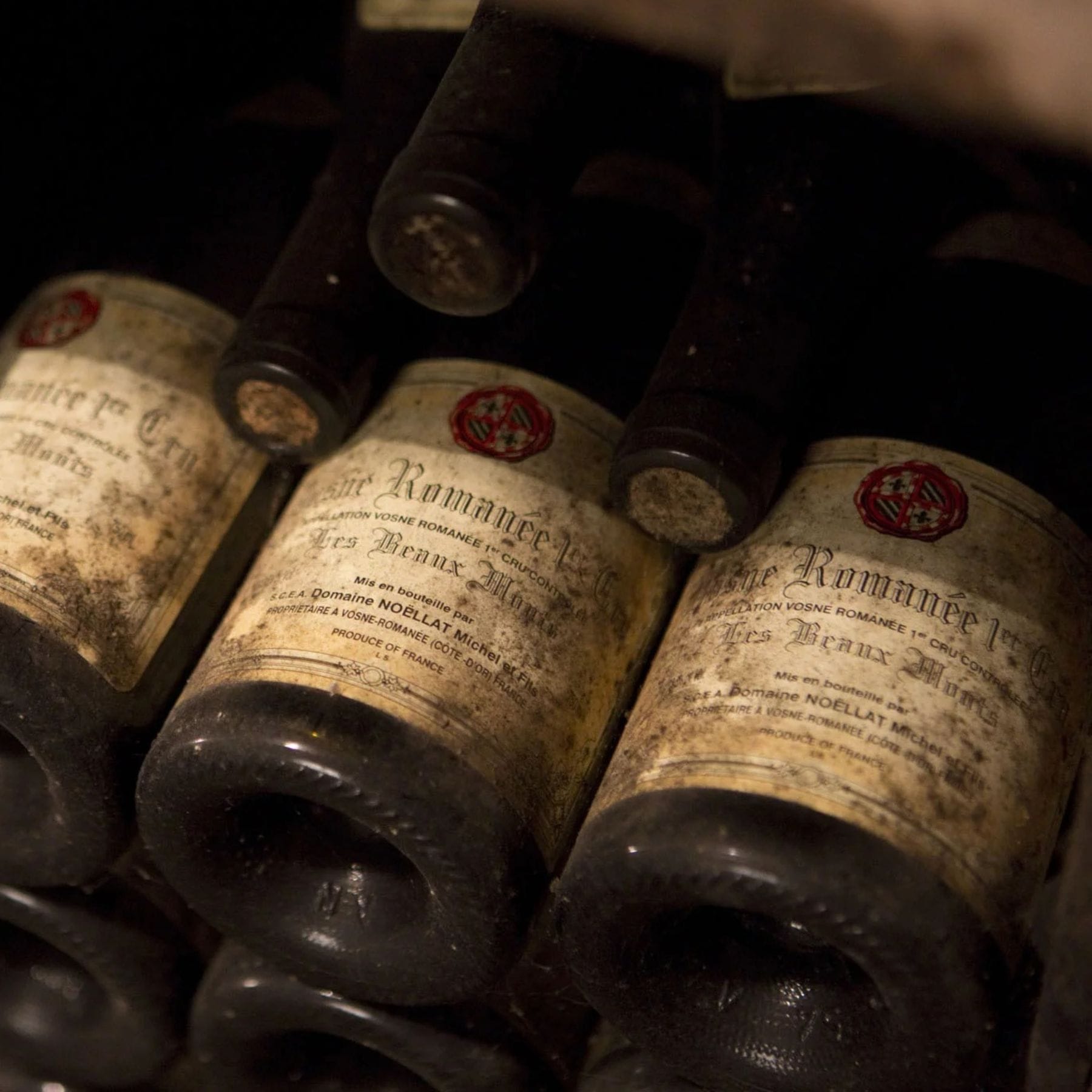 ドメーヌ･ミシェル･ノエラ