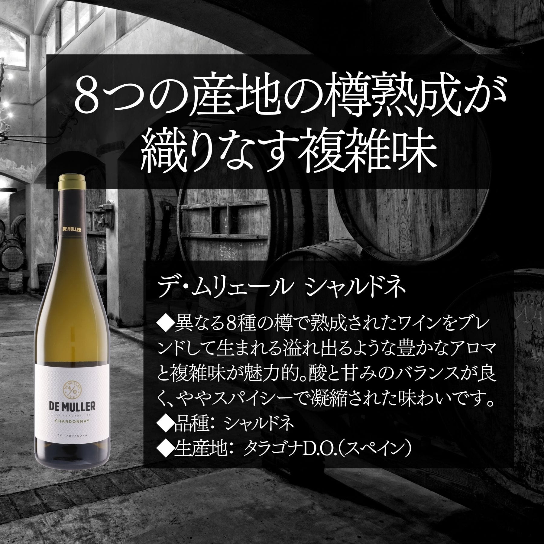 牡蠣マリアージュセット