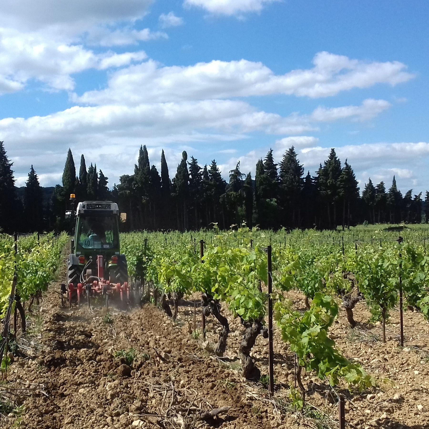 シャトー･ド･セグリエス