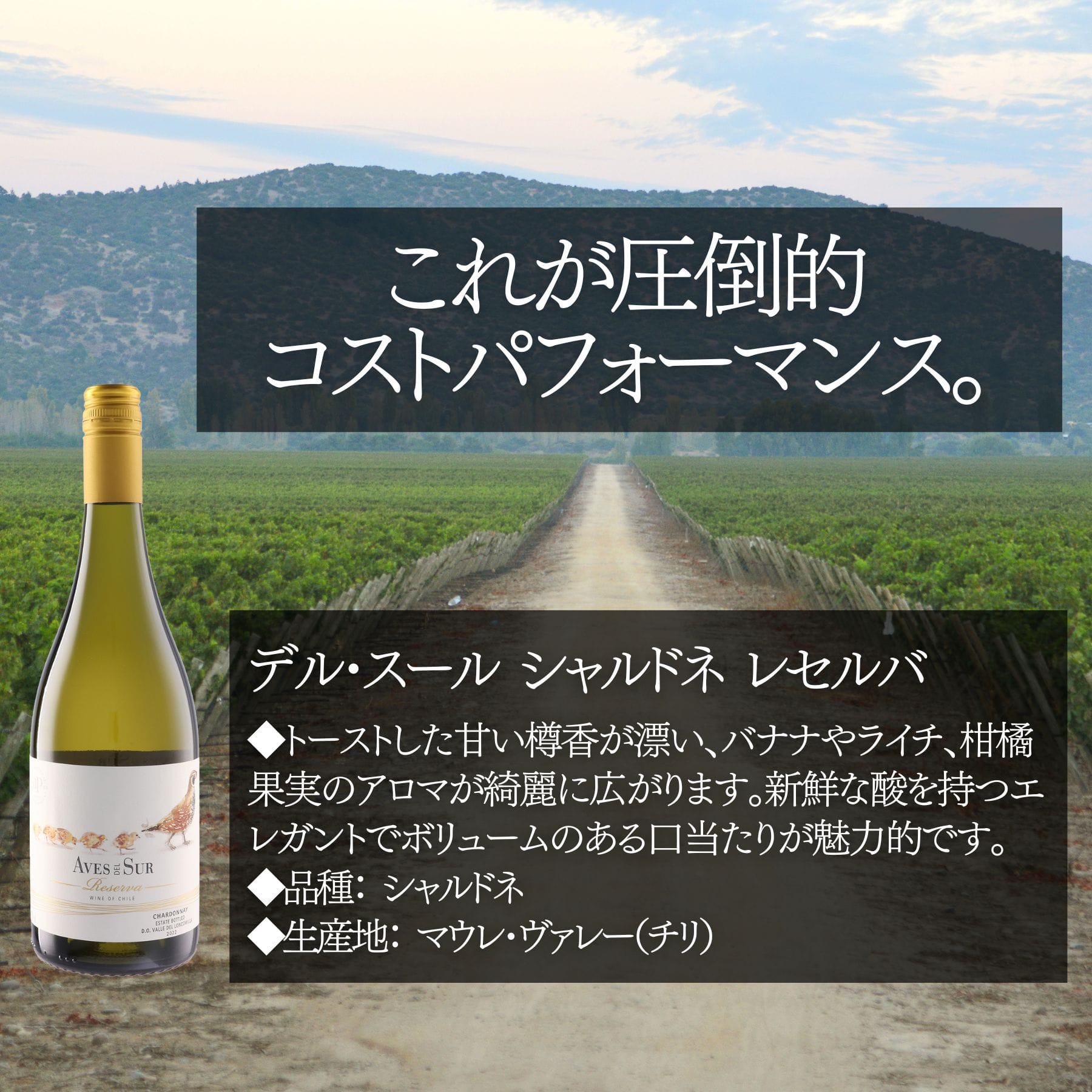 ソムリエ100人厳選