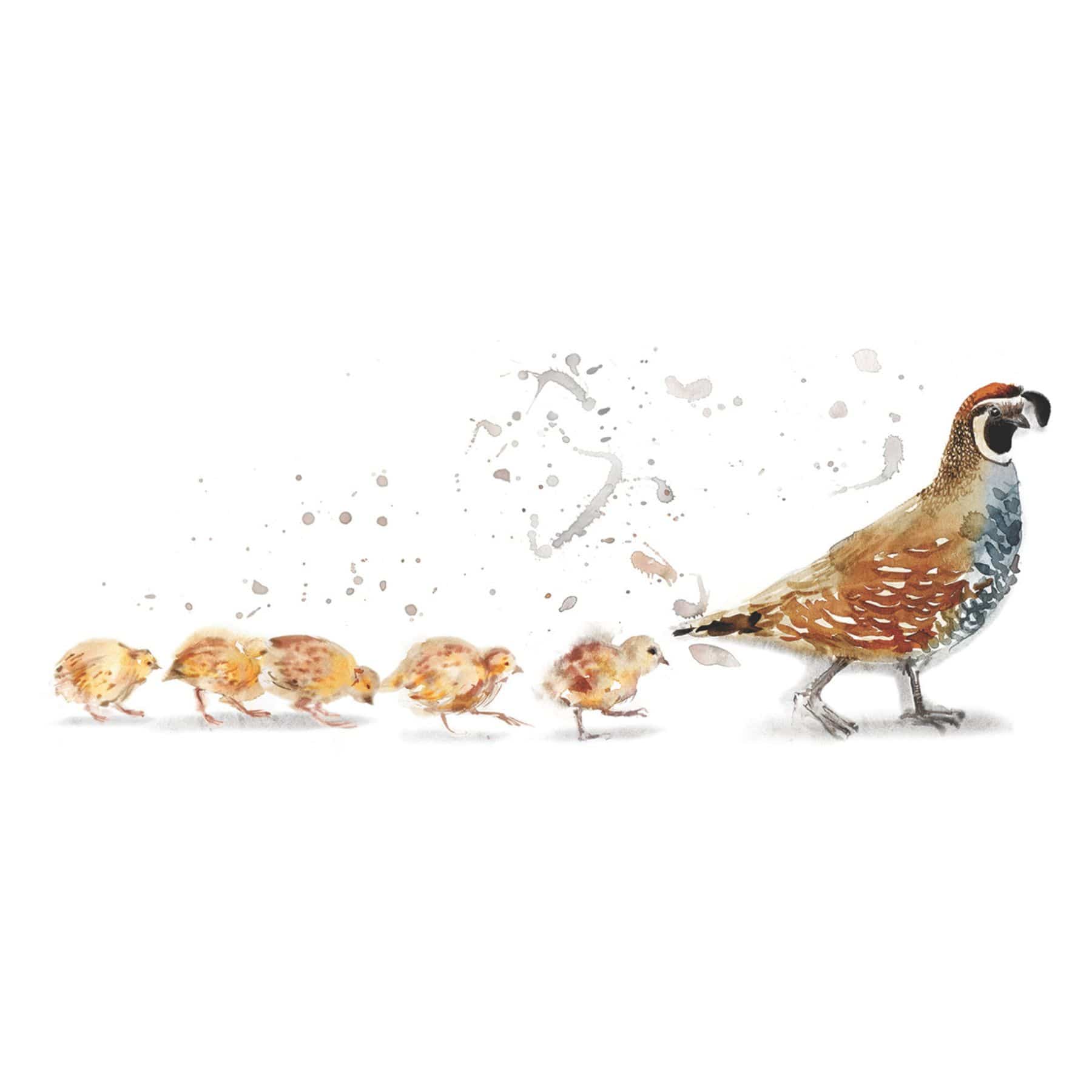 birdlabel