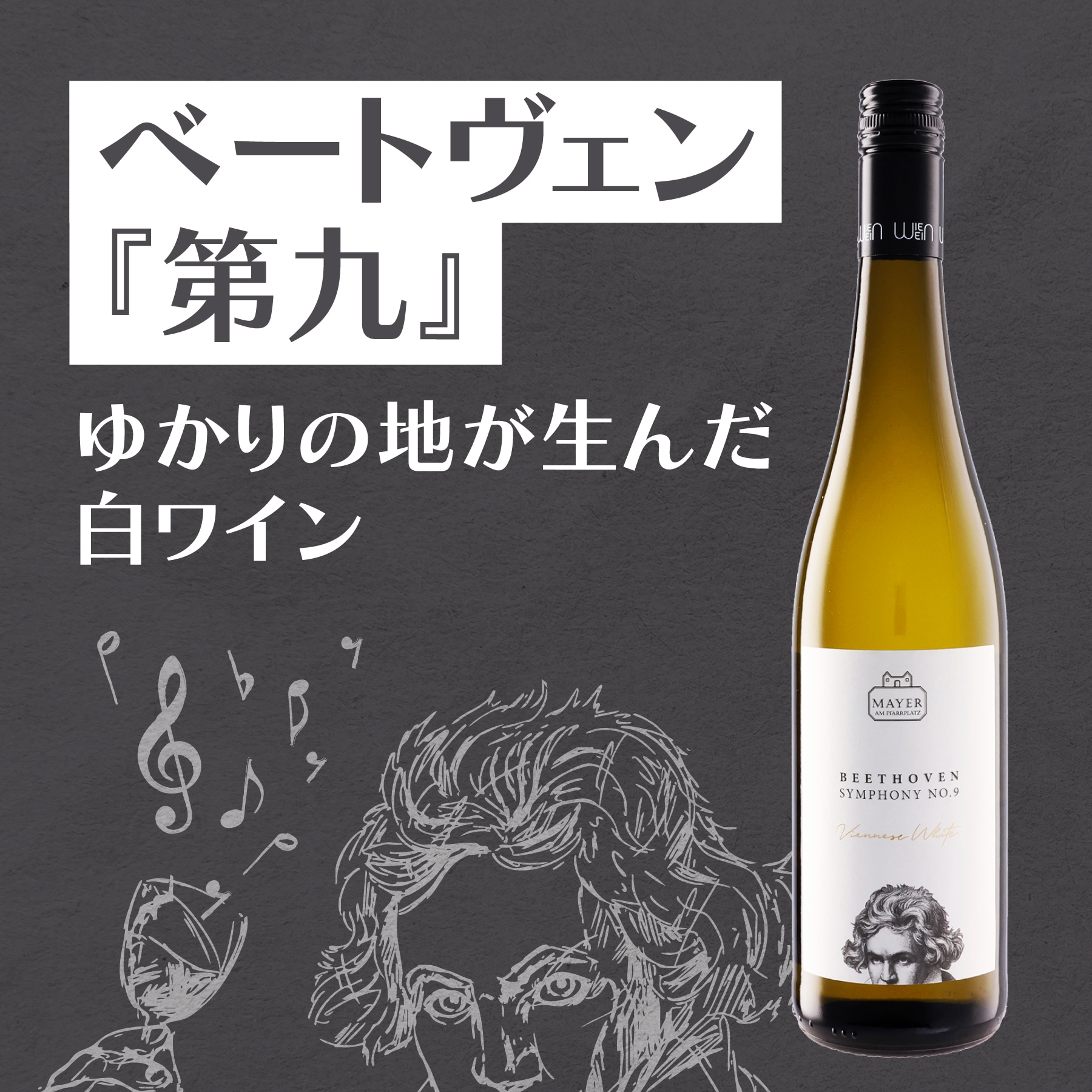 ドメーヌ・ミシェル・ノエラ