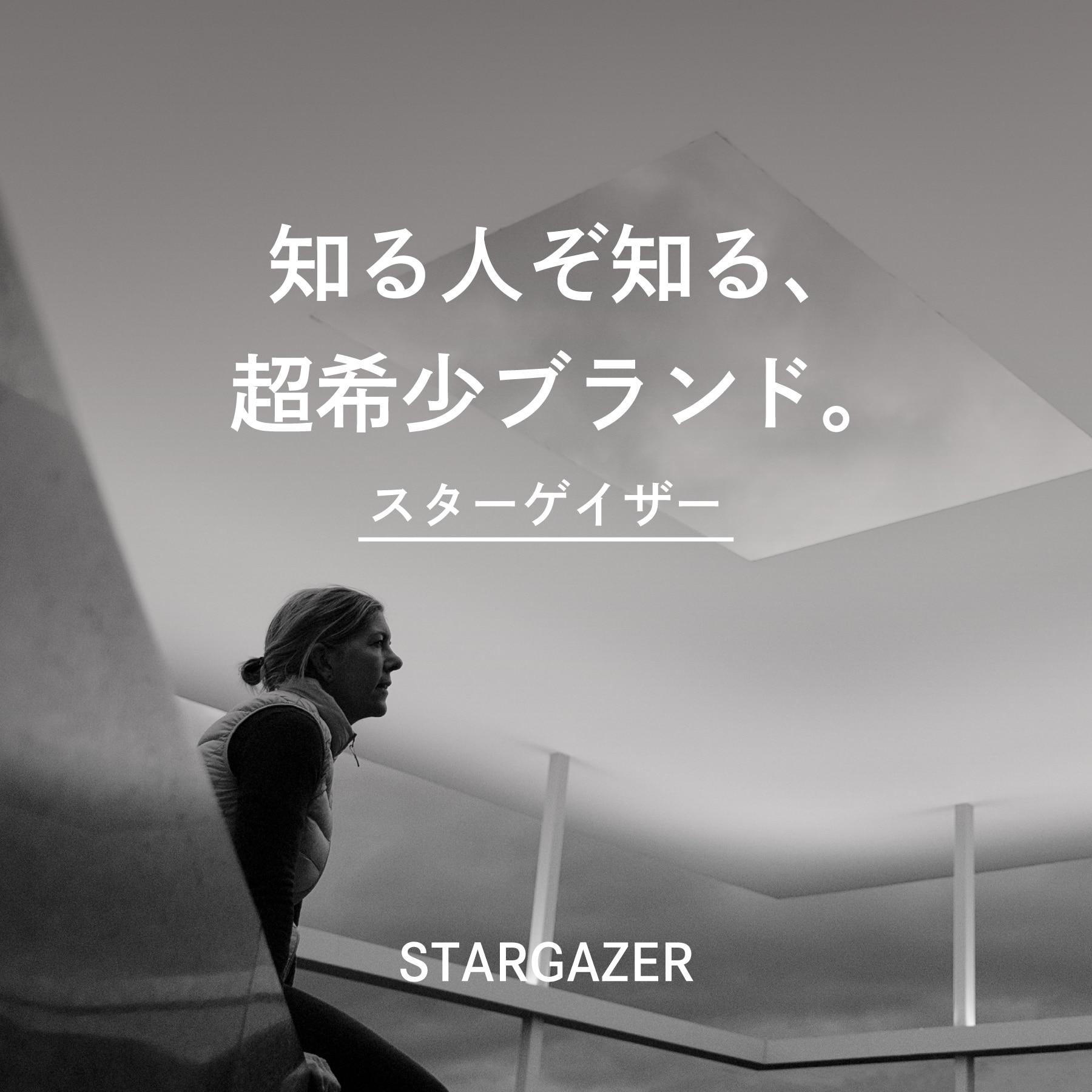 スターゲイザー